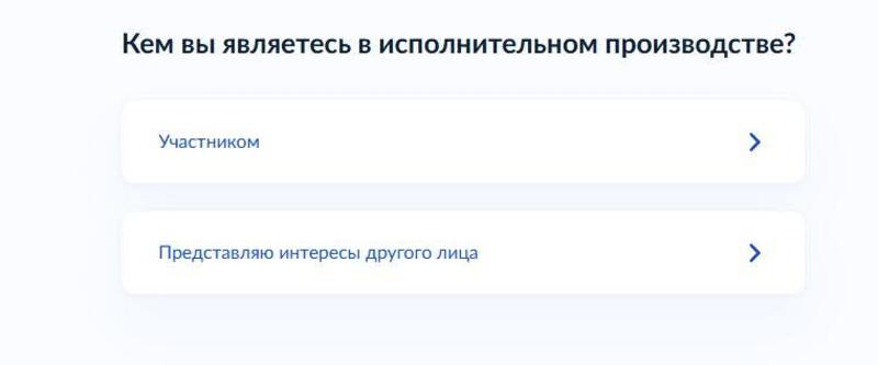 участники